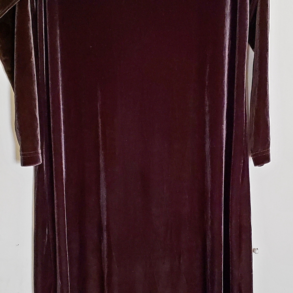 Crushed Velvet Dress